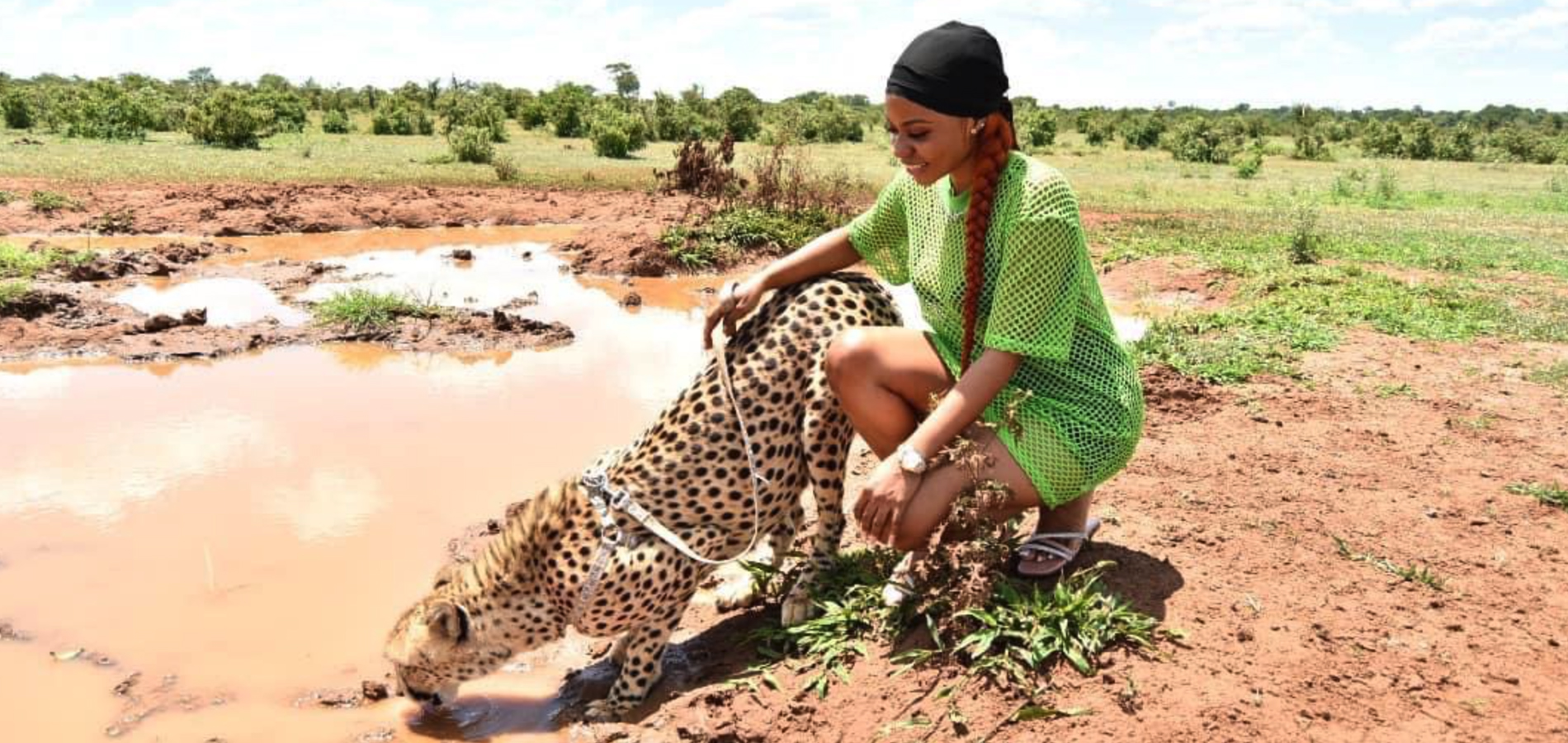 Cheetah Conservation Tour & Walk