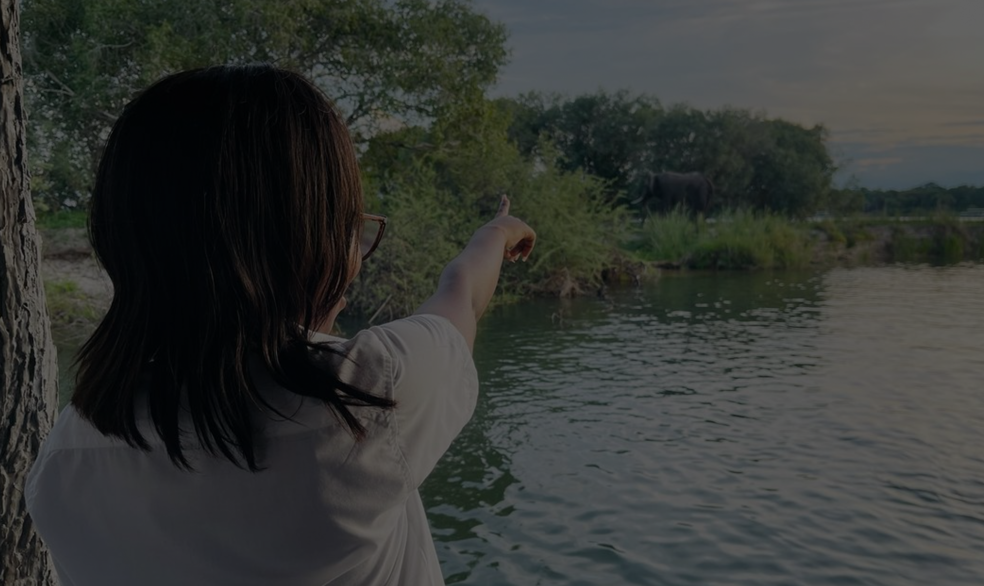 Day Trip to Chobe National Park, Botswana